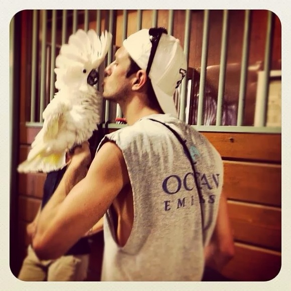 Meet your Posher, Robin - Picture 1 of 1